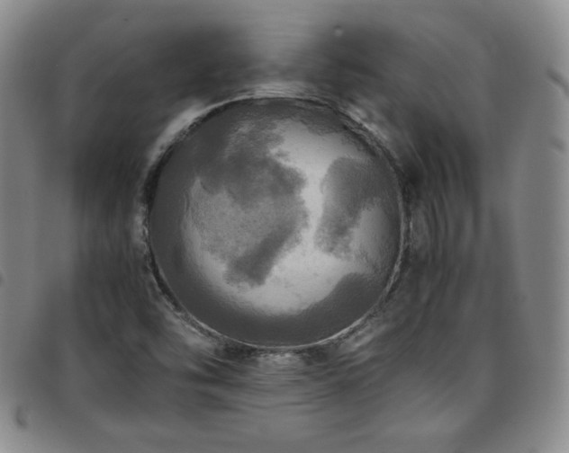 X0000097861454200803141228