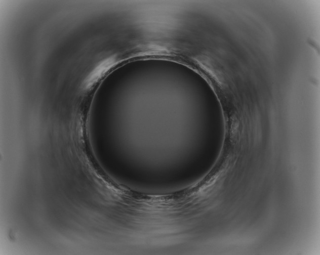 X0000097861455200803141228