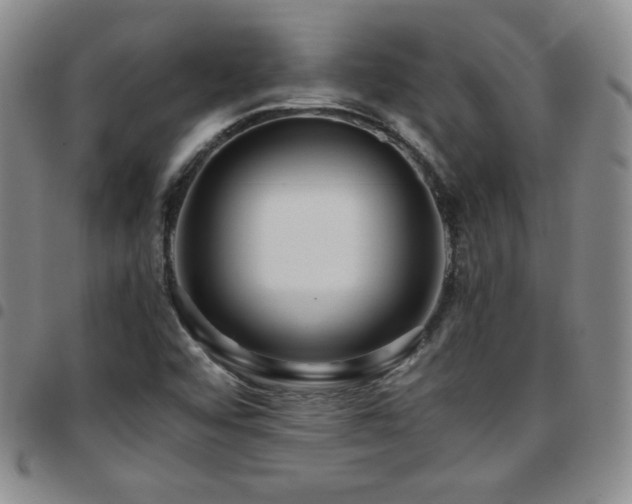 X0000097861456200803141228