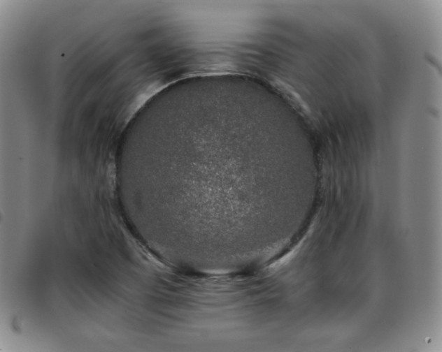 X0000097861457200803141228