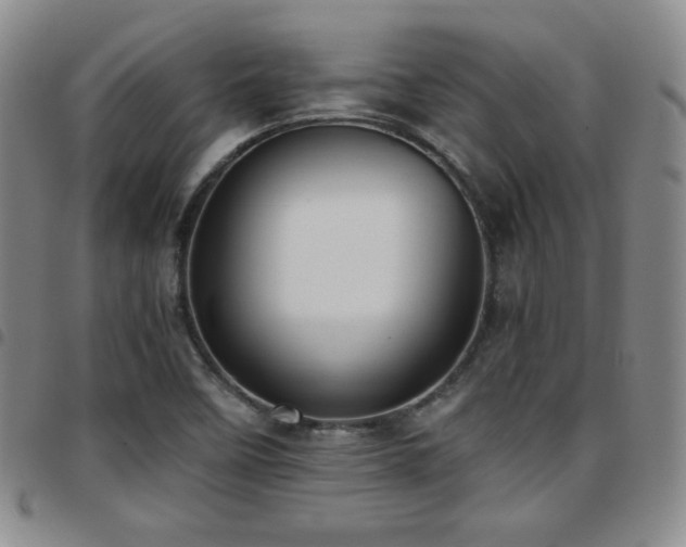 X0000097861458200803141228