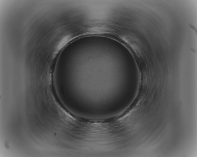 X0000097861459200803141228