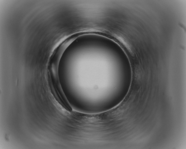X0000097861460200803141228