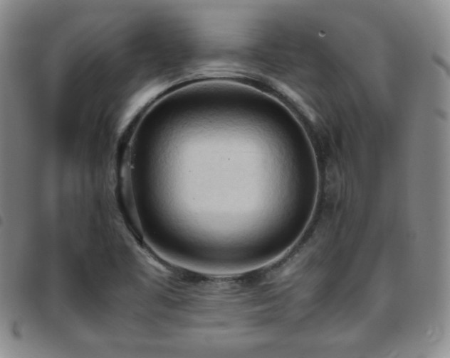 X0000097861461200803141228