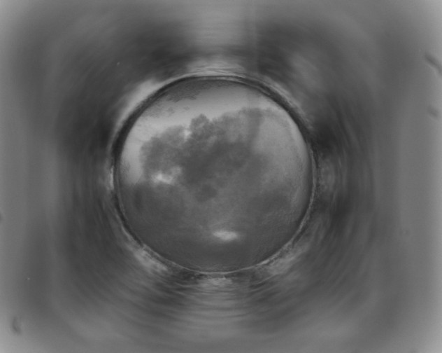 X0000097861462200803141228