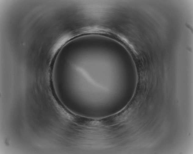X0000097861463200803141228