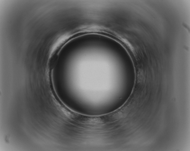 X0000097861464200803141228