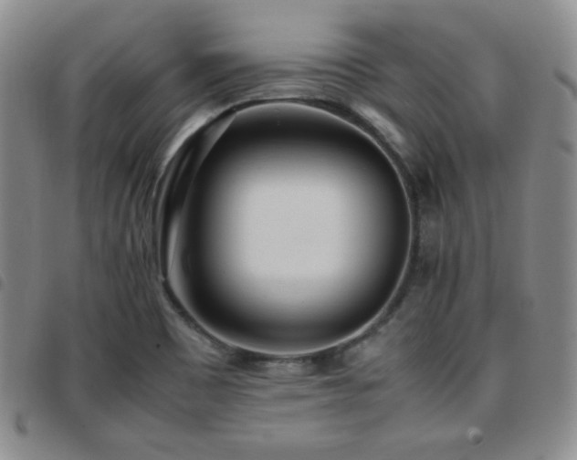 X0000097861465200803141228