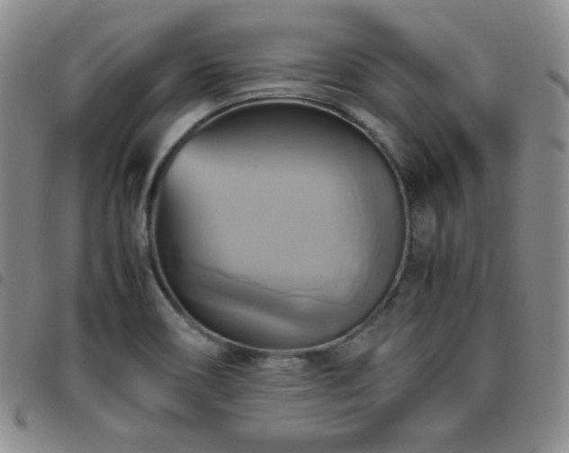 X0000097861466200803141228