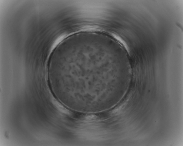 X0000097861467200803141228