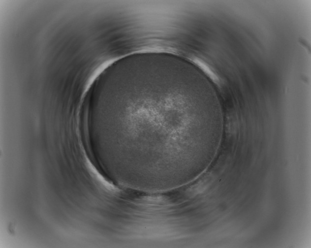 X0000097861468200803141228