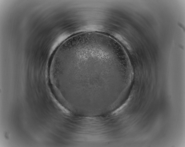X0000097861469200803141228