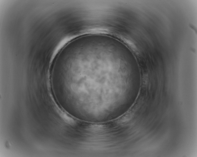 X0000097861470200803141228