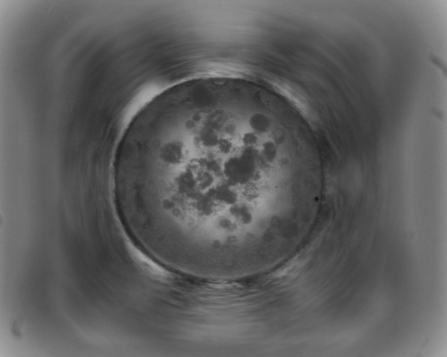 X0000097861471200803141228