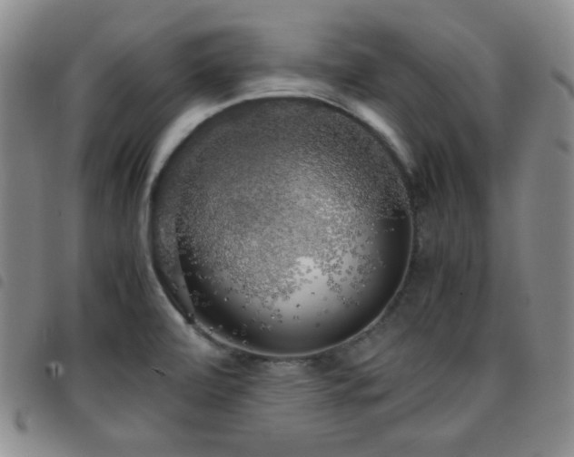 X0000097861472200803141228