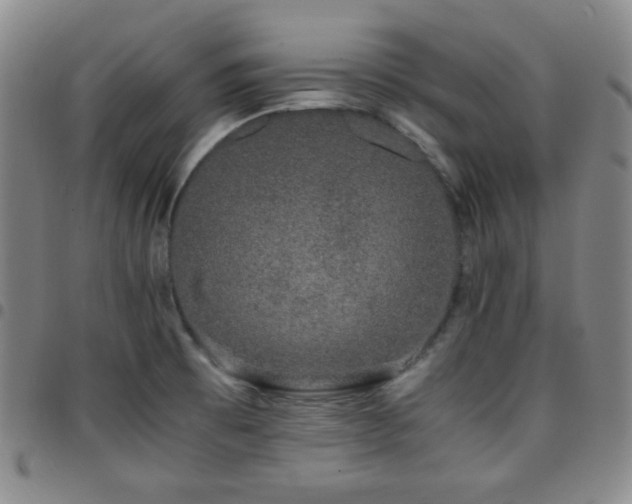 X0000097861473200803141228