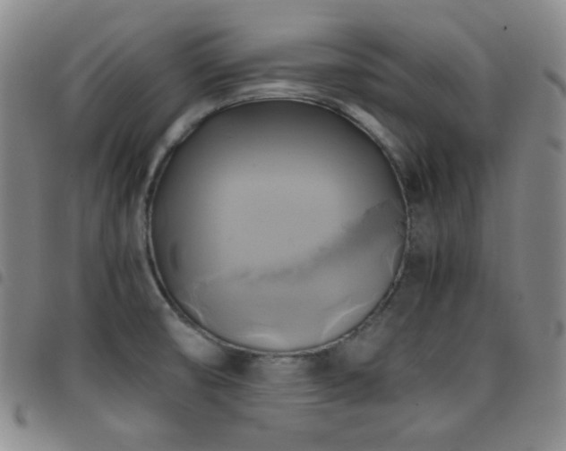 X0000097861474200803141228