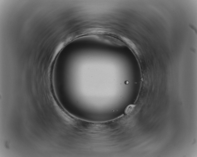 X0000097861475200803141228