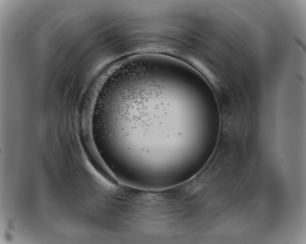 X0000097861476200803141228