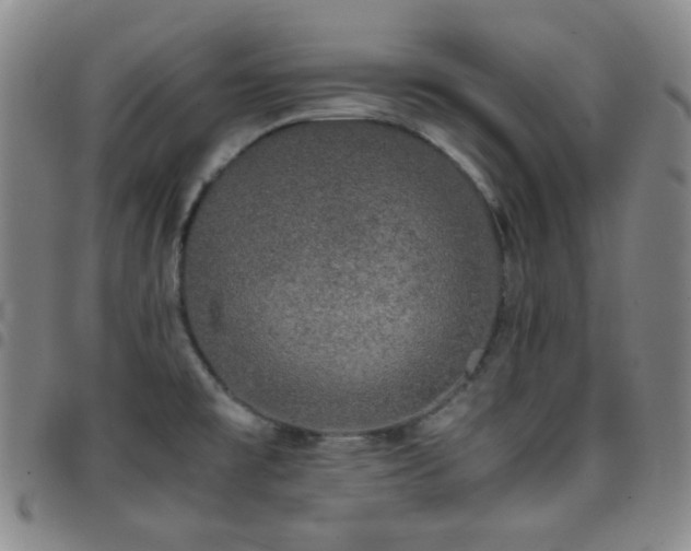 X0000097861477200803141228