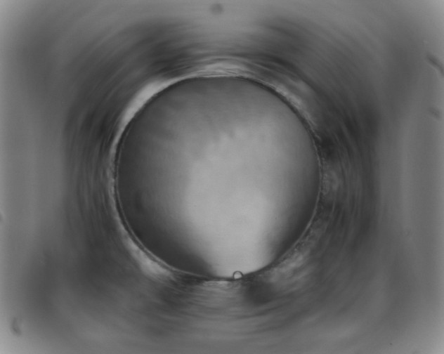X0000097861478200803141228