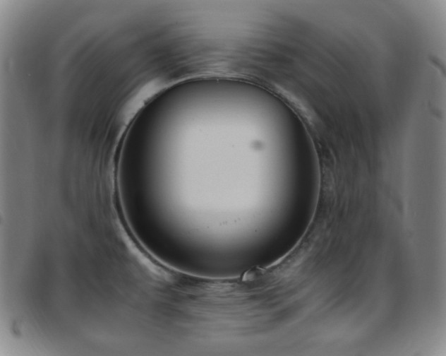 X0000097861479200803141228