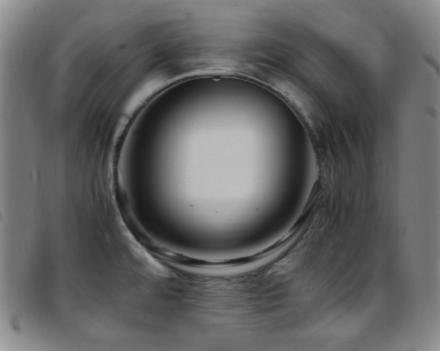 X0000097861480200803141228