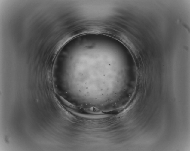 X0000097861481200803141228