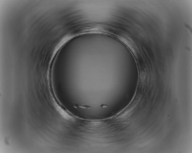 X0000097861482200803141228