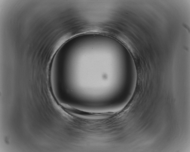 X0000097861483200803141228