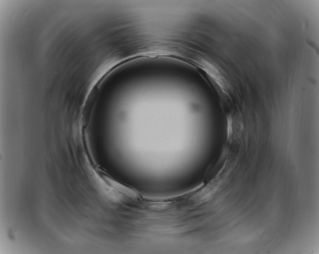 X0000097861484200803141228