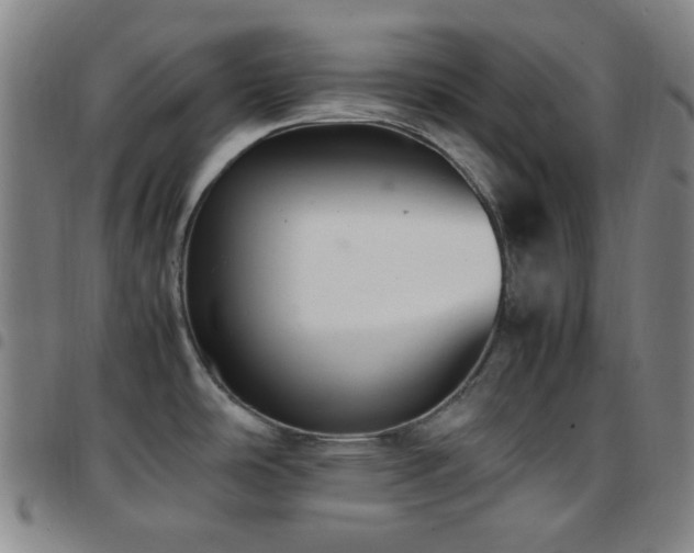 X0000097861486200803141228
