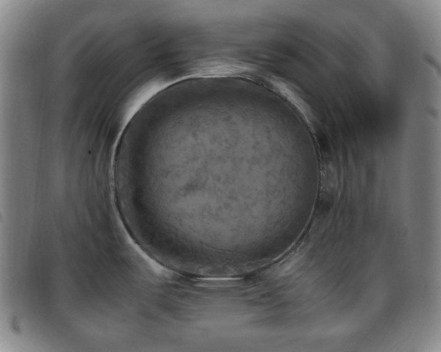 X0000097861487200803141228