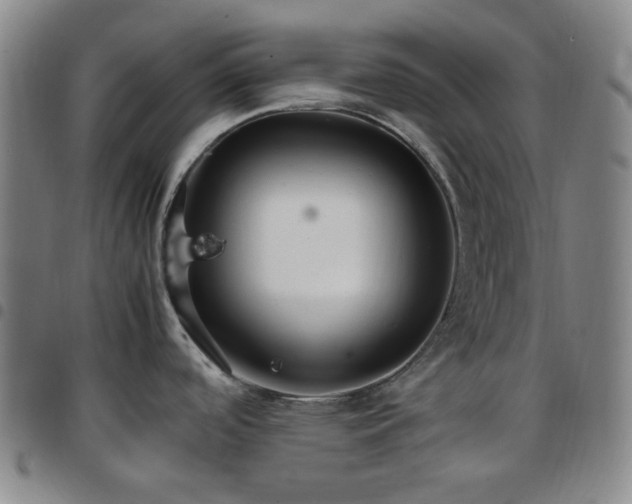 X0000097861488200803141228