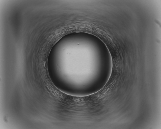 X0000097861489200803141227