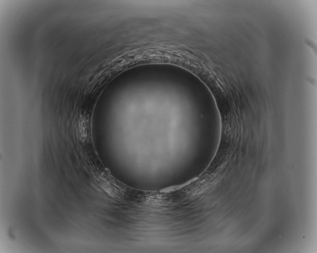 X0000097861490200803141227