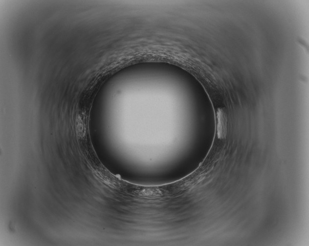 X0000097861491200803141227