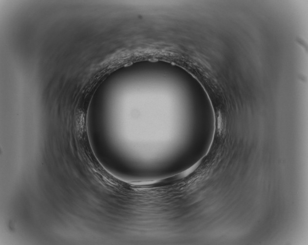 X0000097861492200803141227