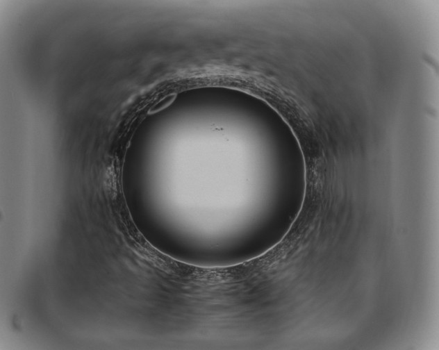 X0000097861493200803141227