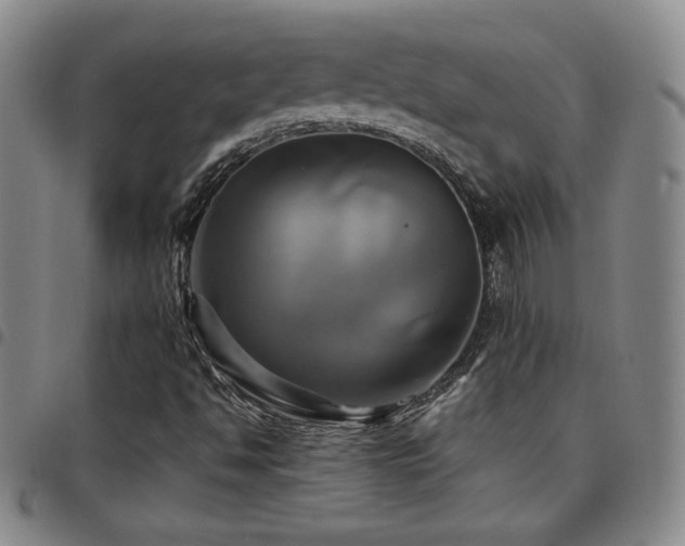 X0000097861494200803141227