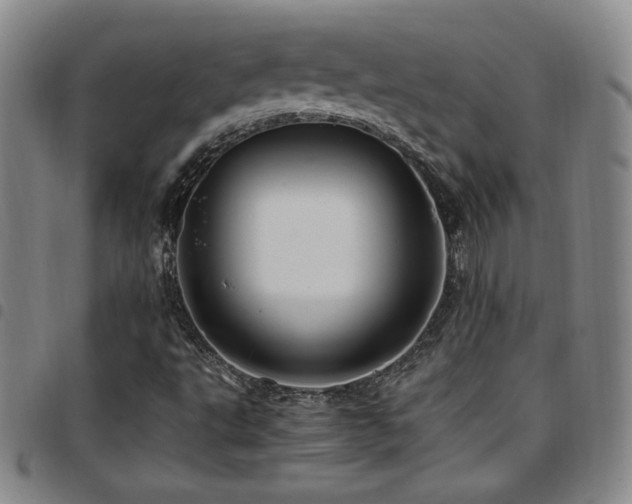 X0000097861495200803141227