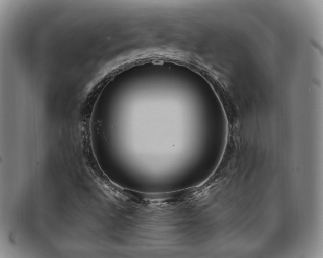 X0000097861496200803141227