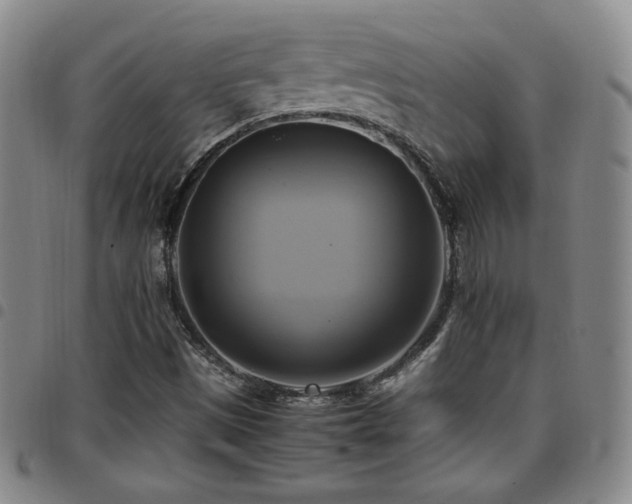 X0000097861497200803141227