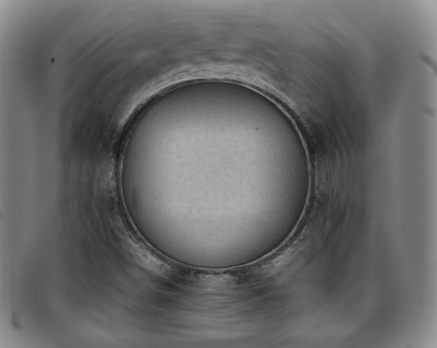 X0000097861498200803141227