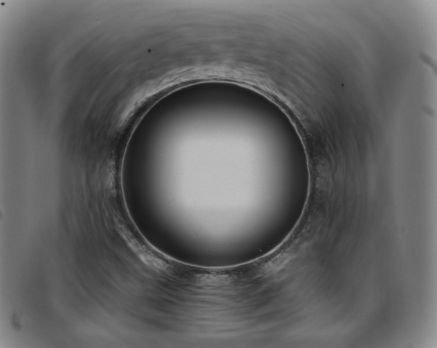 X0000097861499200803141227