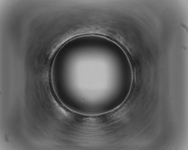 X0000097861500200803141227