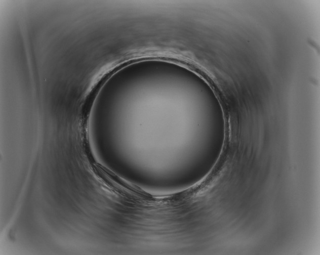 X0000097861501200803141227