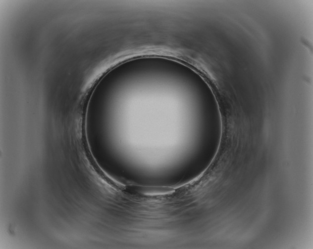 X0000097861504200803141227