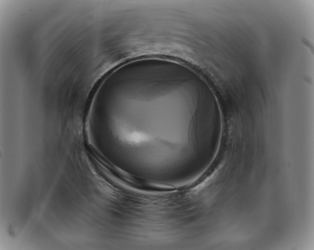 X0000097861505200803141227