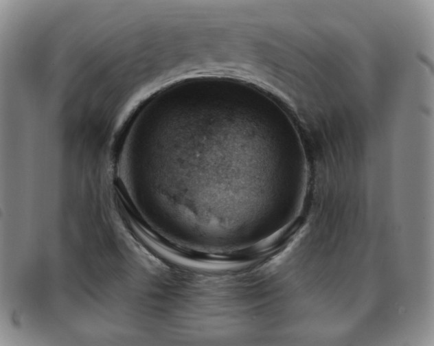 X0000097861506200803141227